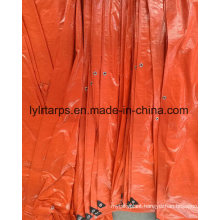 Finished Polyethylene Tarpaulin